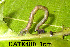  ( - USNM ENT 00704336)  @12 [ ] Unspecified (default): All Rights Reserved  Unspecified Unspecified