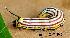 ( - USNM ENT 00704463)  @12 [ ] Unspecified (default): All Rights Reserved  Unspecified Unspecified