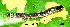  ( - USNM ENT 00704606)  @12 [ ] Unspecified (default): All Rights Reserved  Unspecified Unspecified
