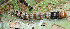  ( - USNM ENT 00704650)  @13 [ ] Unspecified (default): All Rights Reserved  Unspecified Unspecified