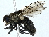  ( - BIOUG85283-C08)  @11 [ ] CreativeCommons - Attribution (2023) CBG Photography Group Centre for Biodiversity Genomics