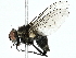  ( - BIOUG85284-E03)  @11 [ ] CreativeCommons - Attribution (2022) CBG Photography Group Centre for Biodiversity Genomics