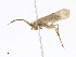  ( - CBG-A10828-A09)  @11 [ ] CreativeCommons - Attribution Share-Alike (2023) CBG Photography Group Centre for Biodiversity Genomics