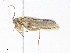  ( - CBG-A10828-A10)  @11 [ ] CreativeCommons - Attribution Share-Alike (2023) CBG Photography Group Centre for Biodiversity Genomics