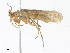  ( - CBG-A13289-A09)  @11 [ ] CreativeCommons - Attribution Share-Alike (2023) CBG Photography Group Centre for Biodiversity Genomics