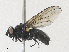  ( - CBG-A28406-C12)  @11 [ ] CreativeCommons - Attribution Share - Alike (2024) CBG Photography Group Centre for Biodiversity Genomics