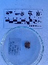  ( - Ter_Consec.90566)  @11 [ ] by-nc-sa (2018) Invemar Invemar-BEM