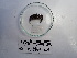  ( - Pla_INVCRU11439)  @11 [ ] by-nc-sa (2018) Invemar Invemar-BEM