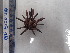  ( - Eth_INVEQU4218)  @11 [ ] Unspecified (default): All Rights Reserved (2025) Invemar Invemar-BEM
