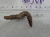  ( - Him_INVEQU4246)  @11 [ ] Unspecified (default): All Rights Reserved (2025) Invemar Invemar-BEM