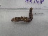  ( - Him_INVEQU4246)  @11 [ ] Unspecified (default): All Rights Reserved (2025) Invemar Invemar-BEM