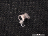  ( - Omi_INVEQU4248)  @11 [ ] Unspecified (default): All Rights Reserved (2025) Invemar Invemar-BEM