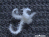 ( - Omi_INVEQU4254)  @11 [ ] Unspecified (default): All Rights Reserved (2025) Invemar Invemar-BEM