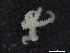  ( - Omi_INVEQU4255)  @11 [ ] Unspecified (default): All Rights Reserved (2025) Invemar Invemar-BEM