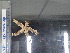  ( - Mbr_INVEQU4281)  @11 [ ] Unspecified (default): All Rights Reserved (2025) Invemar Invemar-BEM