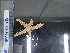  ( - Mbr_INVEQU4281)  @11 [ ] Unspecified (default): All Rights Reserved (2025) Invemar Invemar-BEM