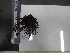  ( - Dme_INVEQU4289)  @11 [ ] Unspecified (default): All Rights Reserved (2025) Invemar Invemar-BEM