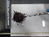  ( - Dme_INVEQU4289)  @11 [ ] Unspecified (default): All Rights Reserved (2025) Invemar Invemar-BEM