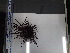 ( - Dme_INVEQU4290)  @11 [ ] Unspecified (default): All Rights Reserved (2025) Invemar Invemar-BEM