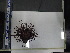  ( - Dme_INVEQU4290)  @11 [ ] Unspecified (default): All Rights Reserved (2025) Invemar Invemar-BEM