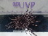  ( - Dme_INVEQU4292)  @11 [ ] Unspecified (default): All Rights Reserved (2025) Invemar Invemar-BEM