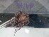  ( - Dme_INVEQU4292)  @11 [ ] Unspecified (default): All Rights Reserved (2025) Invemar Invemar-BEM