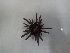  ( - Eth_INVEQU4294)  @11 [ ] Unspecified (default): All Rights Reserved (2025) Invemar Invemar-BEM
