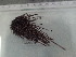  ( - Eth_INVEQU4297)  @11 [ ] Unspecified (default): All Rights Reserved (2025) Invemar Invemar-BEM