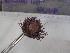  ( - Eth_INVEQU4297)  @11 [ ] Unspecified (default): All Rights Reserved (2025) Invemar Invemar-BEM