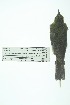  ( - 0426-I_SCC679)  @11 [ ] CreativeCommons - Attribution Non-Commercial Share-Alike (2017) Instituto de Investigacion Alexander von Humboldt (IAvH) Instituto de Investigacion Alexander von Humboldt (IAvH)