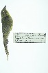  ( - 0426-I_SCC679)  @11 [ ] CreativeCommons - Attribution Non-Commercial Share-Alike (2017) Instituto de Investigacion Alexander von Humboldt (IAvH) Instituto de Investigacion Alexander von Humboldt (IAvH)