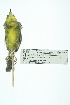 ( - 0435-I_SCC688)  @11 [ ] CreativeCommons - Attribution Non-Commercial Share-Alike (2017) Instituto de Investigacion Alexander von Humboldt (IAvH) Instituto de Investigacion Alexander von Humboldt (IAvH)