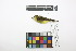  ( - 0431-II_SCC702)  @11 [ ] CreativeCommons - Attribution Non-Commercial Share-Alike (2018) Instituto de Investigacion Alexander von Humboldt (IAvH) Instituto de Investigacion Alexander von Humboldt (IAvH)