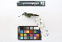  ( - 0462-II_SCC733)  @11 [ ] CreativeCommons - Attribution Non-Commercial Share-Alike (2018) Instituto de Investigacion Alexander von Humboldt (IAvH) Instituto de Investigacion Alexander von Humboldt (IAvH)