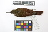  ( - 0471-II_SCC742)  @11 [ ] CreativeCommons - Attribution Non-Commercial Share-Alike (2018) Instituto de Investigacion Alexander von Humboldt (IAvH) Instituto de Investigacion Alexander von Humboldt (IAvH)
