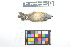  ( - 0522-III_AMC1464)  @11 [ ] CreativeCommons - Attribution Non-Commercial Share-Alike (2018) Instituto de Investigacion Alexander von Humboldt (IAvH) Instituto de Investigacion Alexander von Humboldt (IAvH)