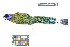  ( - 0272-III_AMC1525)  @11 [ ] CreativeCommons - Attribution Non-Commercial Share-Alike (2018) Instituto de Investigacion Alexander von Humboldt (IAvH) Instituto de Investigacion Alexander von Humboldt (IAvH)