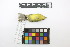  ( - 0559-III_AMC1543)  @11 [ ] CreativeCommons - Attribution Non-Commercial Share-Alike (2018) Instituto de Investigacion Alexander von Humboldt (IAvH) Instituto de Investigacion Alexander von Humboldt (IAvH)