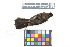  ( - 0576-III_AMC1569)  @11 [ ] CreativeCommons - Attribution Non-Commercial Share-Alike (2018) Instituto de Investigacion Alexander von Humboldt (IAvH) Instituto de Investigacion Alexander von Humboldt (IAvH)