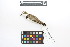  ( - 0563-III_AMC1549)  @11 [ ] CreativeCommons - Attribution Non-Commercial Share-Alike (2018) Instituto de Investigacion Alexander von Humboldt (IAvH) Instituto de Investigacion Alexander von Humboldt (IAvH)