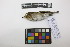  ( - 0813-IV_IAvH-A-16262)  @11 [ ] CreativeCommons - Attribution Non-Commercial Share-Alike (2018) Instituto de Investigacion Alexander von Humboldt (IAvH) Instituto de Investigacion Alexander von Humboldt (IAvH)