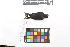  ( - 1014-IV_CAP23)  @11 [ ] CreativeCommons - Attribution Non-Commercial Share-Alike (2018) Instituto de Investigacion Alexander von Humboldt (IAvH) Instituto de Investigacion Alexander von Humboldt (IAvH)