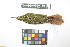  ( - 1026-IV_CAP49)  @11 [ ] CreativeCommons - Attribution Non-Commercial Share-Alike (2018) Instituto de Investigacion Alexander von Humboldt (IAvH) Instituto de Investigacion Alexander von Humboldt (IAvH)