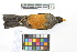  ( - 1040-IV_CAP66)  @11 [ ] CreativeCommons - Attribution Non-Commercial Share-Alike (2018) Instituto de Investigacion Alexander von Humboldt (IAvH) Instituto de Investigacion Alexander von Humboldt (IAvH)