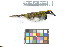  ( - 1044-IV_CAP70)  @11 [ ] CreativeCommons - Attribution Non-Commercial Share-Alike (2018) Instituto de Investigacion Alexander von Humboldt (IAvH) Instituto de Investigacion Alexander von Humboldt (IAvH)