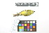  ( - 1045-IV_CAP75)  @11 [ ] CreativeCommons - Attribution Non-Commercial Share-Alike (2018) Instituto de Investigacion Alexander von Humboldt (IAvH) Instituto de Investigacion Alexander von Humboldt (IAvH)