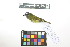  ( - 1049-IV_CAP82)  @11 [ ] CreativeCommons - Attribution Non-Commercial Share-Alike (2018) Instituto de Investigacion Alexander von Humboldt (IAvH) Instituto de Investigacion Alexander von Humboldt (IAvH)
