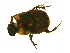  ( - IAvH-E-182146)  @11 [ ] CreativeCommons - Attribution Non-Commercial Share-Alike (2018) Instituto de Investigacion Alexander von Humboldt (IAvH) Instituto de Investigacion Alexander von Humboldt (IAvH)