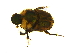  ( - IAvH-E-182147)  @11 [ ] CreativeCommons - Attribution Non-Commercial Share-Alike (2018) Instituto de Investigacion Alexander von Humboldt (IAvH) Instituto de Investigacion Alexander von Humboldt (IAvH)