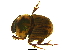  ( - IAvH-E-182148)  @11 [ ] CreativeCommons - Attribution Non-Commercial Share-Alike (2018) Instituto de Investigacion Alexander von Humboldt (IAvH) Instituto de Investigacion Alexander von Humboldt (IAvH)
